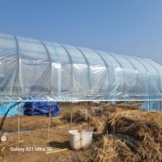 이천산수유님의 자유주제 · 자유게시판 작성글 사진