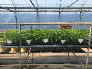 엔피코뉴스님의 자유주제 · 자유게시판 작성글 사진