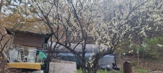 달방구님의 자유주제 · 자유게시판 작성글 사진