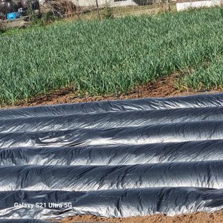 이천산수유님의 자유주제 · 자유게시판 작성글 사진