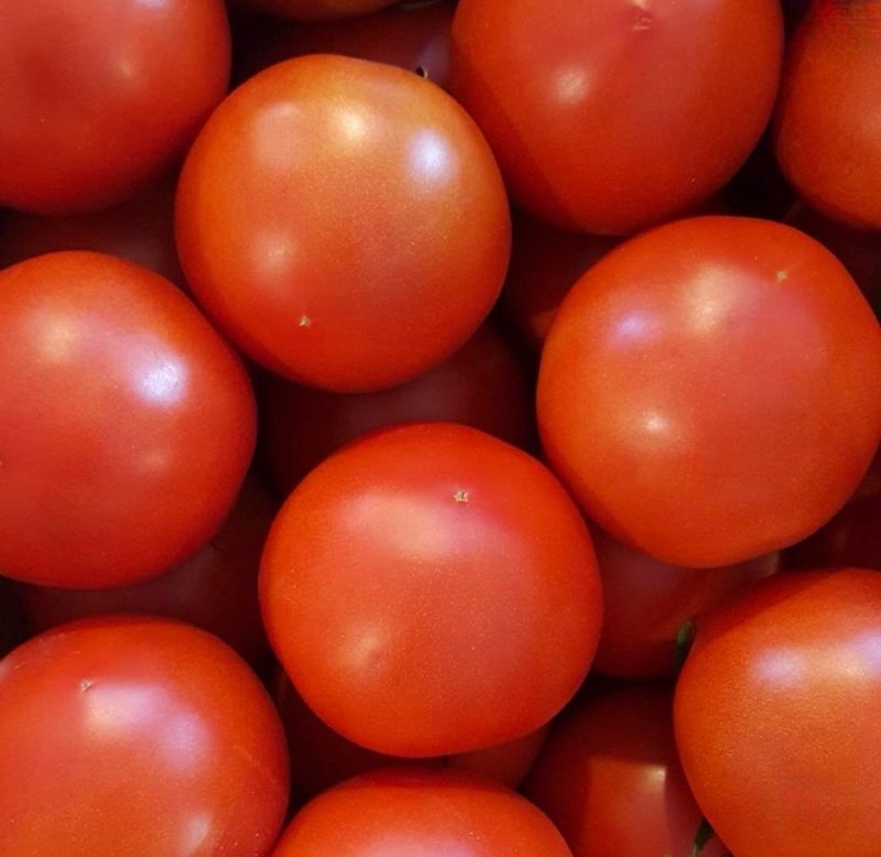 농부손녀님의 장터 판매 상품 [[한정특가] 완숙토마토 5kg 무료배송] 첨부 사진