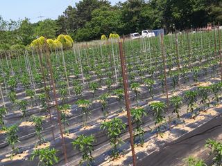 엔피코뉴스님의 자유주제 · 자유게시판 작성글 사진