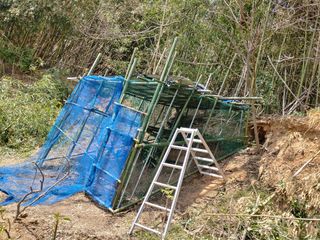 이현상홍길동건강즙님의 자유주제 · 자유게시판 작성글 사진