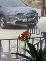 팜모닝 자유주제·자유게시판 게시글 이미지