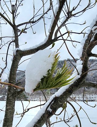 고추건조기부품판매님의 자유주제 · 자유게시판 작성글 사진