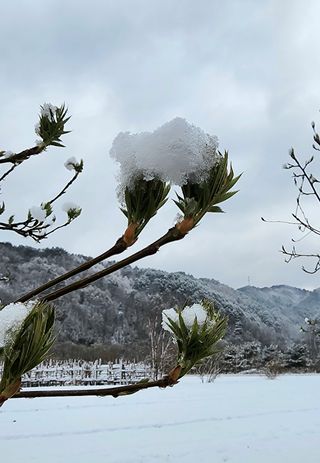 고추건조기부품판매님의 자유주제 · 자유게시판 작성글 사진
