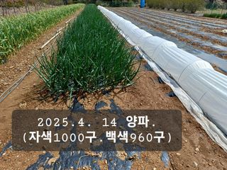 박성민님의 자유주제 · 자유게시판 작성글 사진