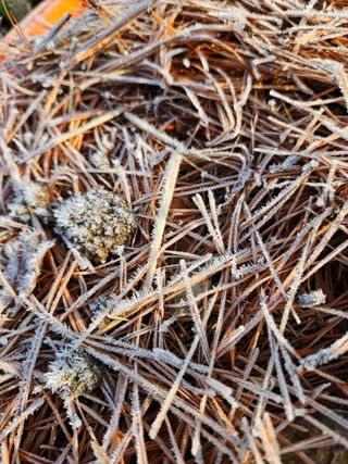 조정숙(1955)님의 자유주제 · 자유게시판 작성글 사진