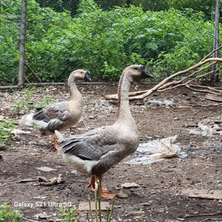 이천산수유님의 자유주제 · 자유게시판 작성글 사진
