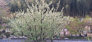 이현주(숲속의농원)님의 자유주제 · 자유게시판 작성글 사진