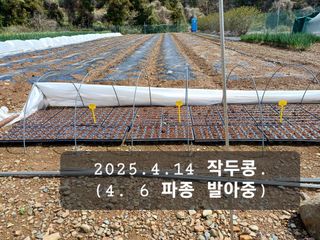 박성민님의 자유주제 · 자유게시판 작성글 사진