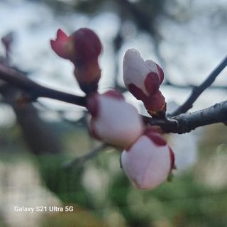 이천산수유님의 자유주제 · 자유게시판 작성글 사진