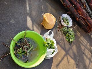 이현상홍길동건강즙님의 자유주제 · 자유게시판 작성글 사진