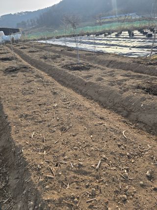 김유숙님의 일손 구하셨나요? · 참여글 작성글 사진