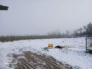 조엘라님의 자유주제 · 자유게시판 작성글 사진