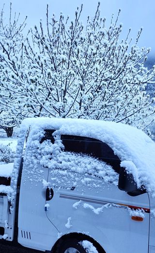 고추건조기부품판매님의 자유주제 · 자유게시판 작성글 사진