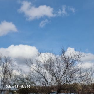 이천산수유님의 자유주제 · 자유게시판 작성글 사진