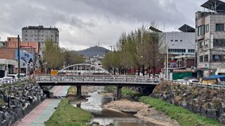 MSG0074님의 자유주제 · 자유게시판 작성글 사진