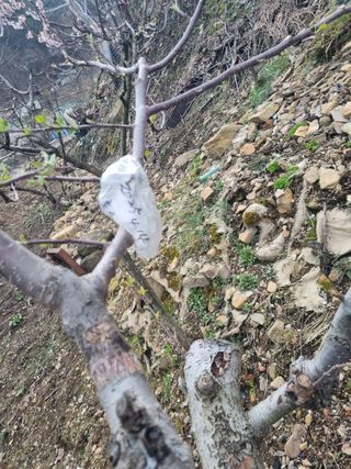 김용대님의 기타작물 · 자유게시판 작성글 사진