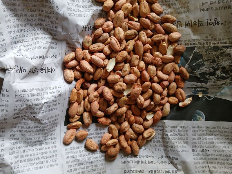 손경식드림농장님의 장터 판매 상품 [땅콩. 1키로. (완판)] 첨부 사진