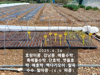 박성민님의 자유주제 · 자유게시판 작성글 사진