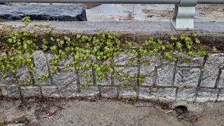 MSG0074님의 자유주제 · 자유게시판 작성글 사진