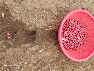 공주유구 구계박만호님의 자유주제 · 자유게시판 작성글 사진