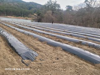 이동훈님의 자유주제 · 자유게시판 작성글 사진