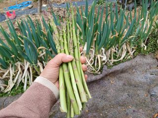 금동이네님의 자유주제 · 자유게시판 작성글 사진