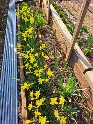 온시디움님의 자유주제 · 자유게시판 작성글 사진