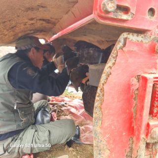 이천산수유님의 자유주제 · 자유게시판 작성글 사진