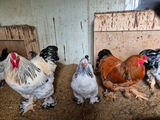 천운산님의 작성글 사진