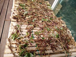 이현상홍길동건강즙님의 자유주제 · 자유게시판 작성글 사진