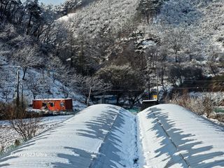 공주유구 구계박만호님의 자유주제 · 자유게시판 작성글 사진
