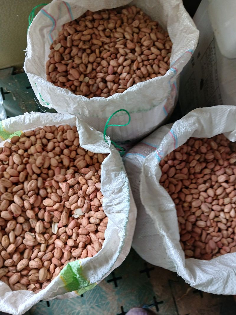 장터 상품 [땅콩. 1키로. (완판)] 썸네일