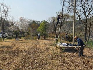 국중선님의 자유주제 · 자유게시판 작성글 사진