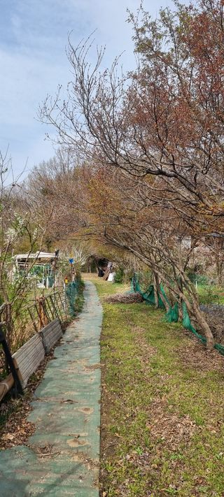 달방구님의 자유주제 · 자유게시판 작성글 사진