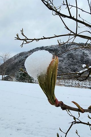 고추건조기부품판매님의 자유주제 · 자유게시판 작성글 사진