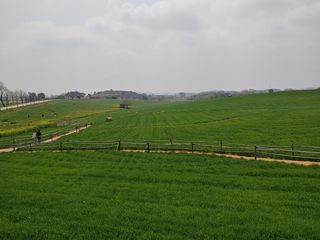 이현상홍길동건강즙님의 자유주제 · 자유게시판 작성글 사진