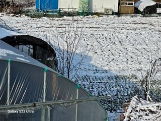 공주유구 구계박만호님의 자유주제 · 자유게시판 작성글 사진