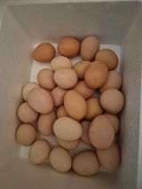 팜모닝 · 게시글 이미지