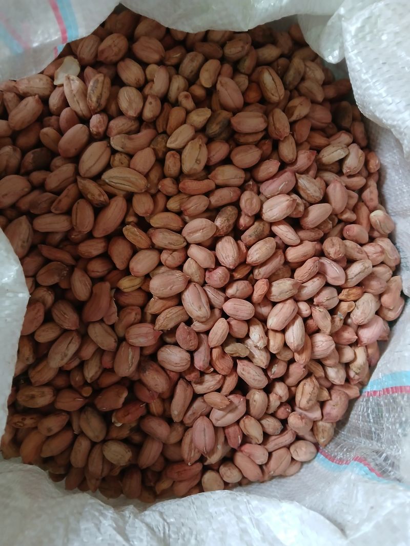손경식드림농장님의 장터 판매 상품 [땅콩. 1키로. (완판)] 첨부 사진