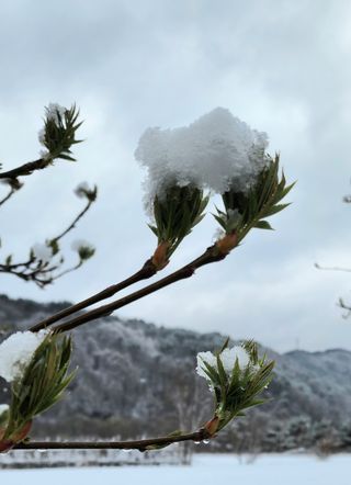 고추건조기부품판매님의 자유주제 · 자유게시판 작성글 사진