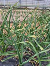 팜모닝 자유주제·자유게시판 게시글 이미지