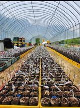 팜모닝 자유주제·자유게시판 게시글 이미지