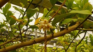 정미리님의 작성글 사진