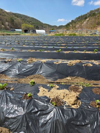 에덴농원님의 자유주제 · 자유게시판 작성글 사진
