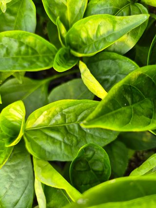 김영진(전남영광)님의 자유주제 · 자유게시판 작성글 사진