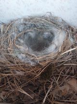 팜모닝 자유주제·자유게시판 게시글 이미지