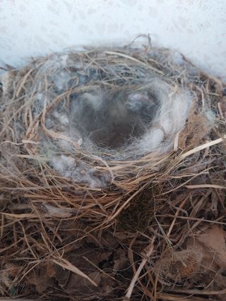 대부도하비님의 자유주제 · 자유게시판 작성글 사진